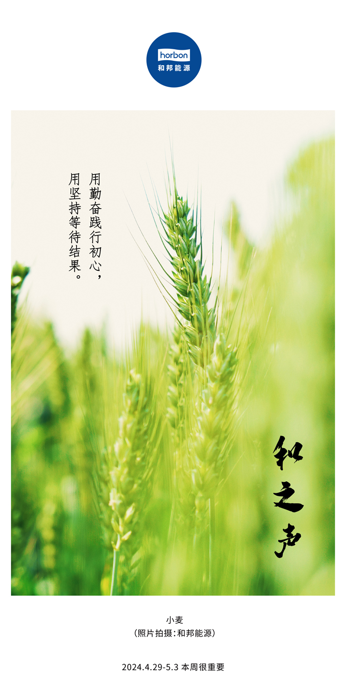 【和之声】用勤恳践行初心，用对峙期待了局。（总第132期）2024.4.29-5中文改幼季度推送用.jpg