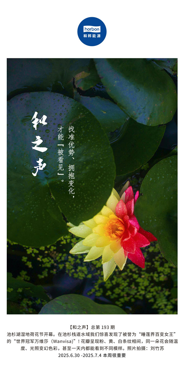 【和之声】找准优势、拥抱变动，能力“被看见”。(总第193期）--2025.6中文导出季度推送用.jpg