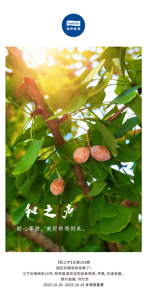 【和之声】耐心期待，美好终将到来。-(总第209期）2025.10.20中文导出季度推送用.jpg